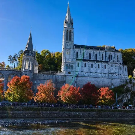 Hotel Saint Georges Lourdes-3